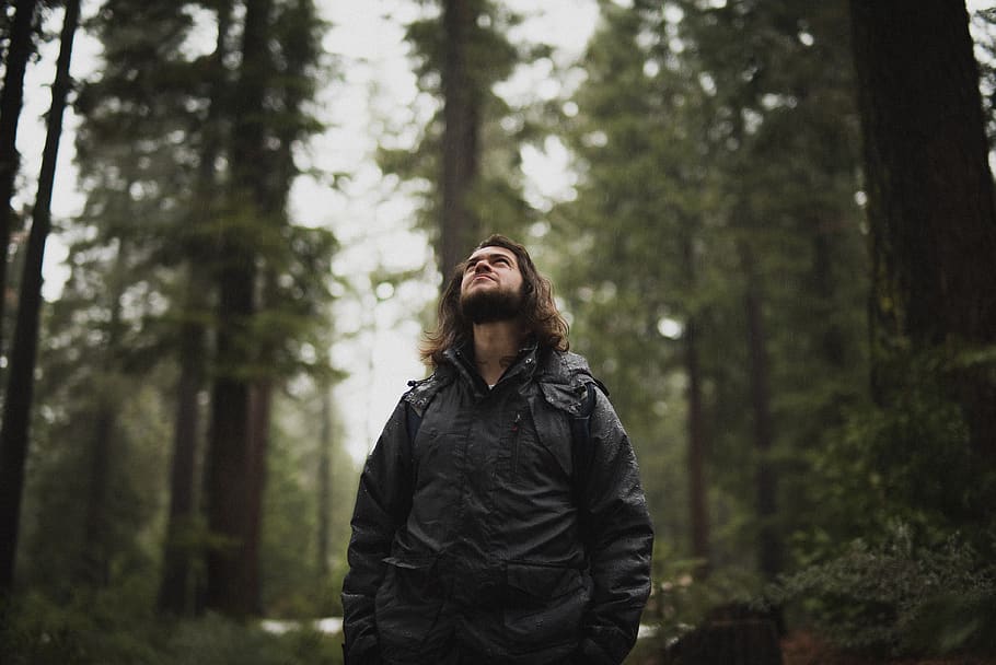 people, man, beard, nature, landscape, green, leaves, trees HD wallpaper
