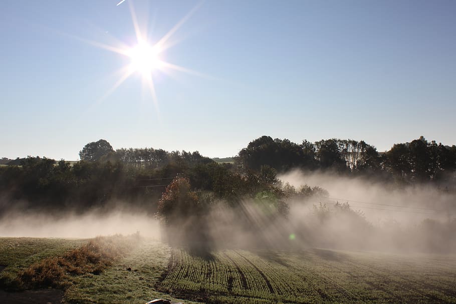 sun, fog, panorama, mood, haze, sky, plant, tree, beauty in nature HD wallpaper
