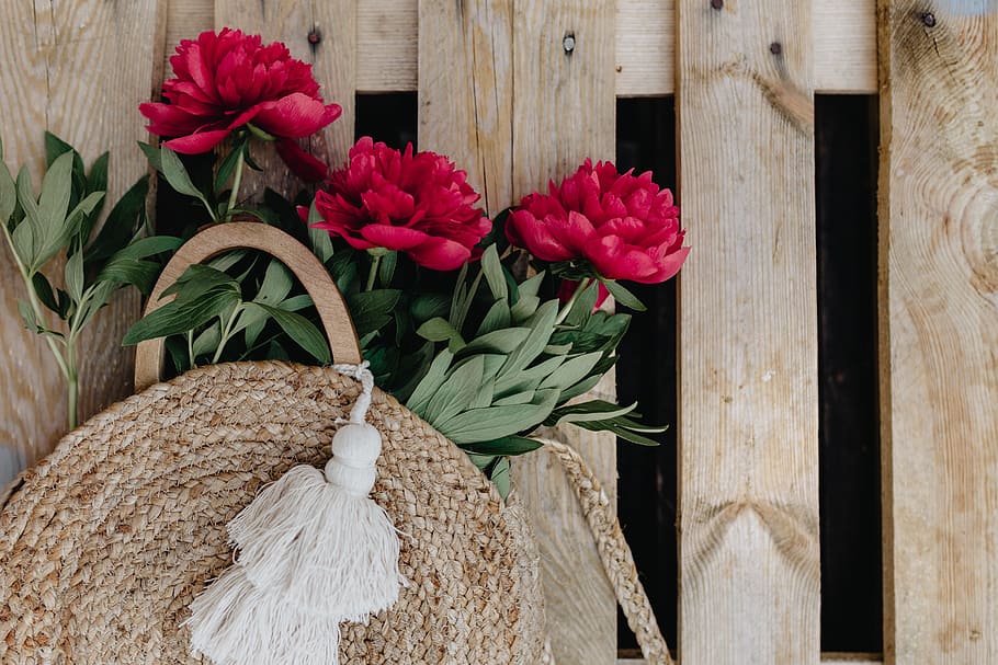 Blooming red peonies, flowers, floral, peony, raffia bag, zara bag, HD wallpaper