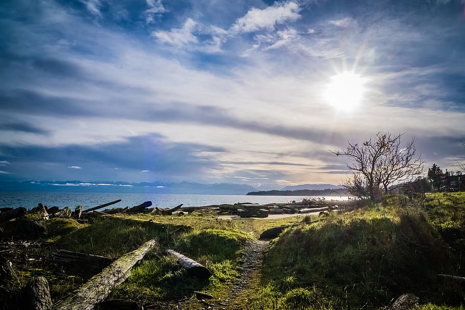 sky, sand, wave, scenics - nature, cloud - sky, plant, beauty in nature HD wallpaper