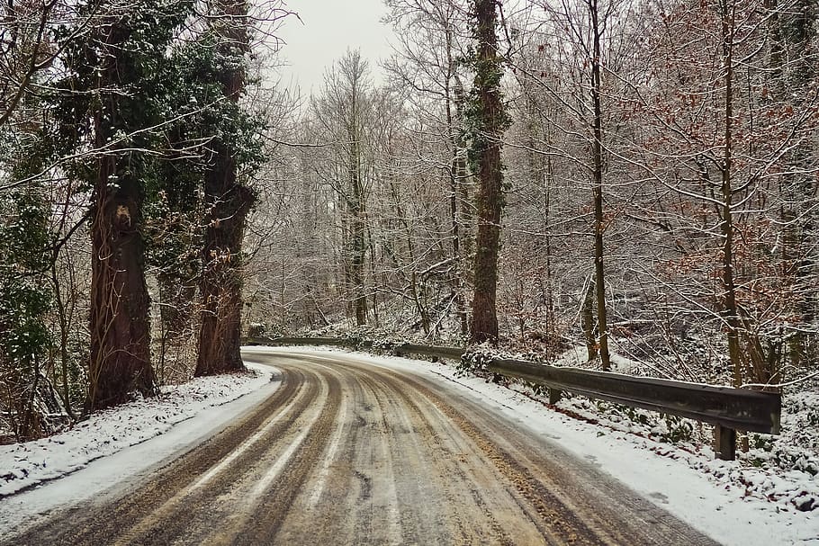 road, winter, snow, landscape, nature, trees, cold, forest HD wallpaper