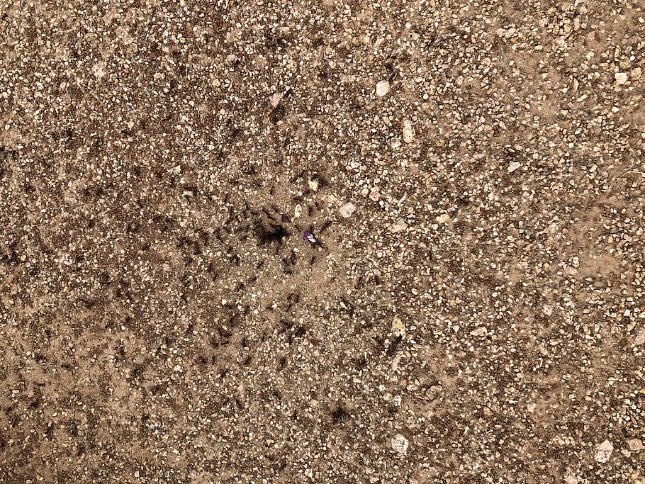 soil, ground, outdoors, land, nature, sand, rug, 1611 wallace blvd HD wallpaper