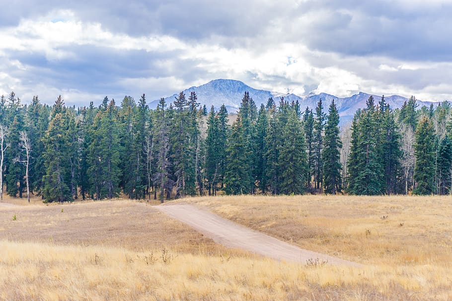 range, road, forest road, national forest, pikes peak, 4x4 road HD wallpaper