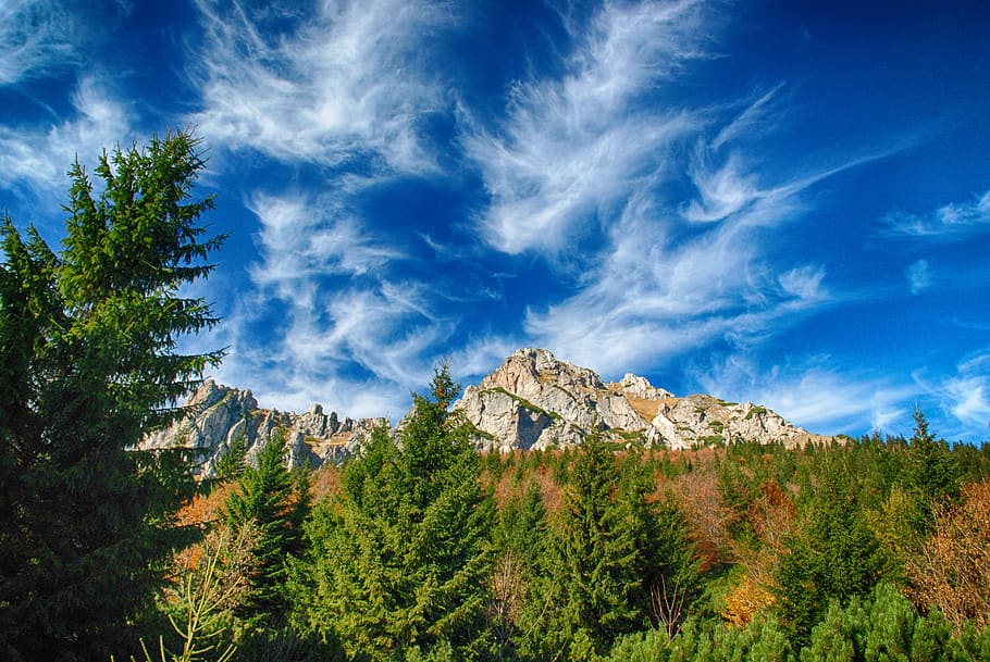 autumn, nature, forest, trees, mood, foliage, mountains, light HD wallpaper