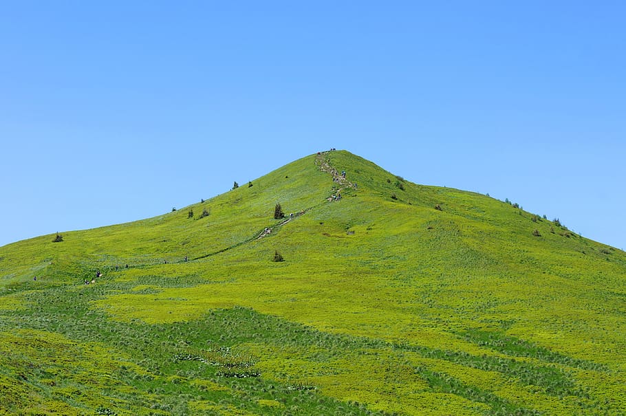 green, mountain, the path, landscape, sky, summer, nature, mountains HD wallpaper