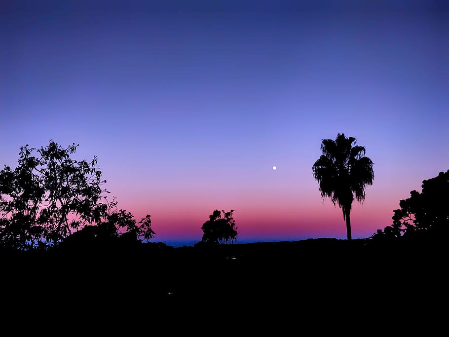 trees, moon, mountains, hd background, hd wallpaper, photos HD wallpaper