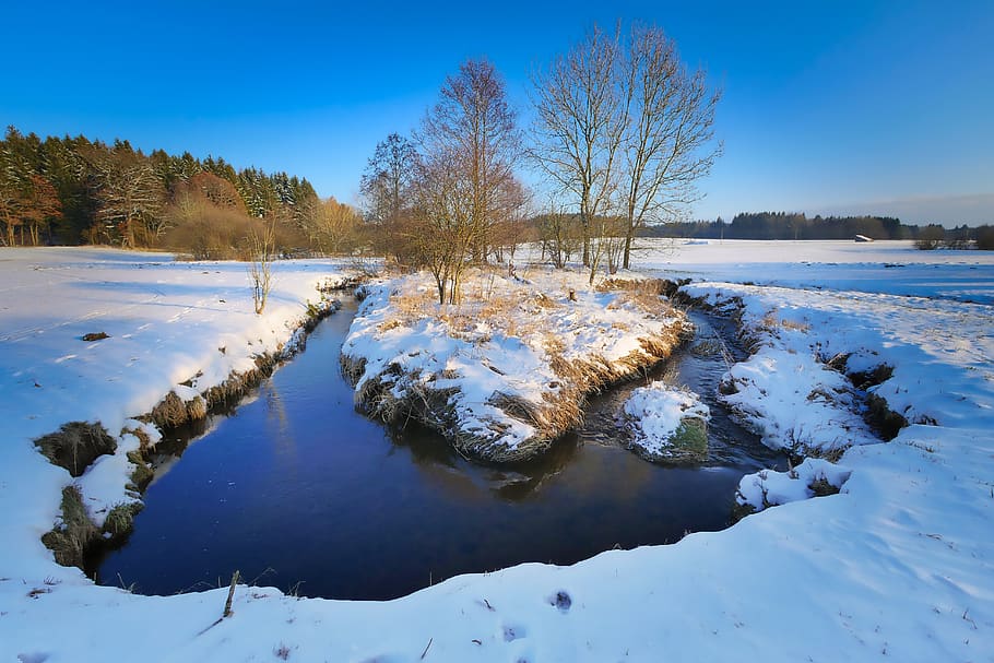 snow, waters, nature, winter, tree, bach, river, stafford, tx HD wallpaper