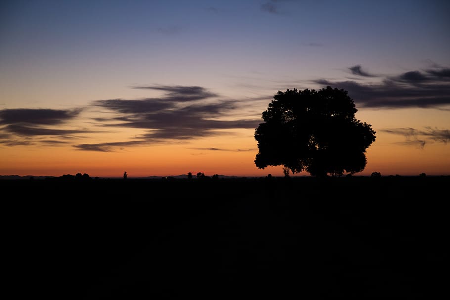 sky, sunset, silhouette, scenics - nature, tree, beauty in nature HD wallpaper