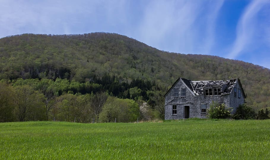 house, country, farm, architecture, built structure, plant HD wallpaper