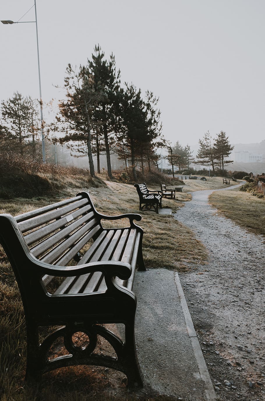 brown bench beside pathway, seat, tree, plant, empty, absence HD wallpaper