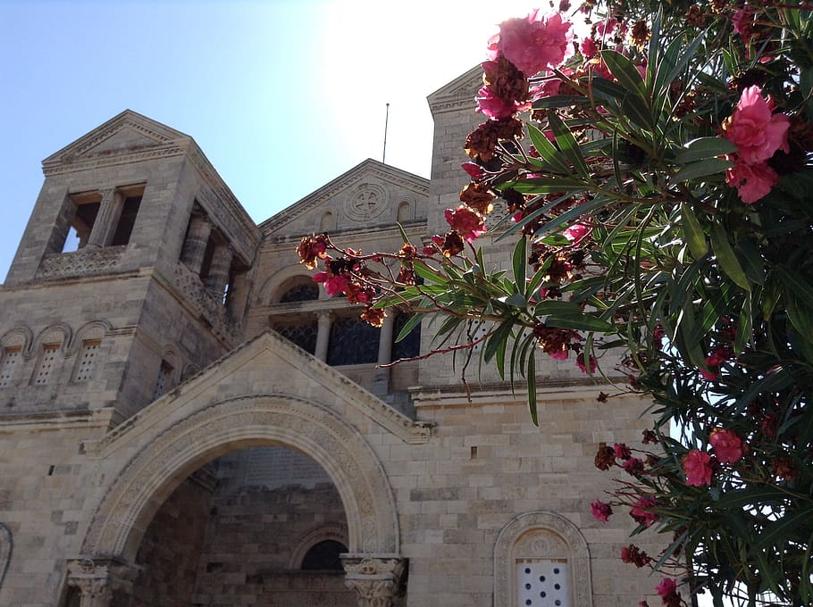 israel, transfiguration, flowers, church of the transfiguration, HD wallpaper
