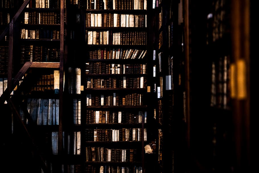books on bookcase, shelf, publication, bookshelf, large group of objects HD wallpaper
