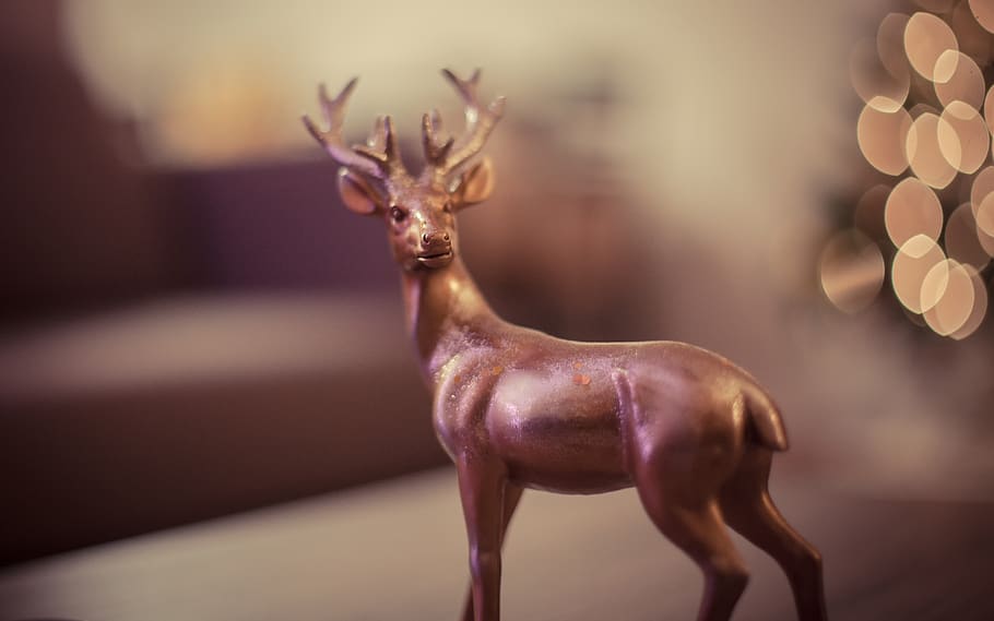 canada, brampton, bokeh, dof, reindeer, christmas decor, home HD wallpaper
