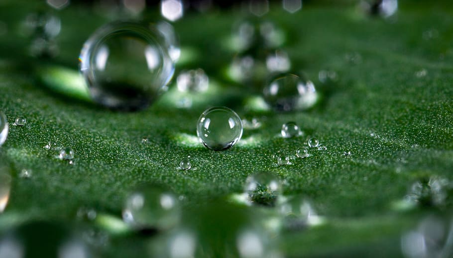 Macro Shot of Water Droplets, bubble, clean, close-up, dew, drop of water HD wallpaper