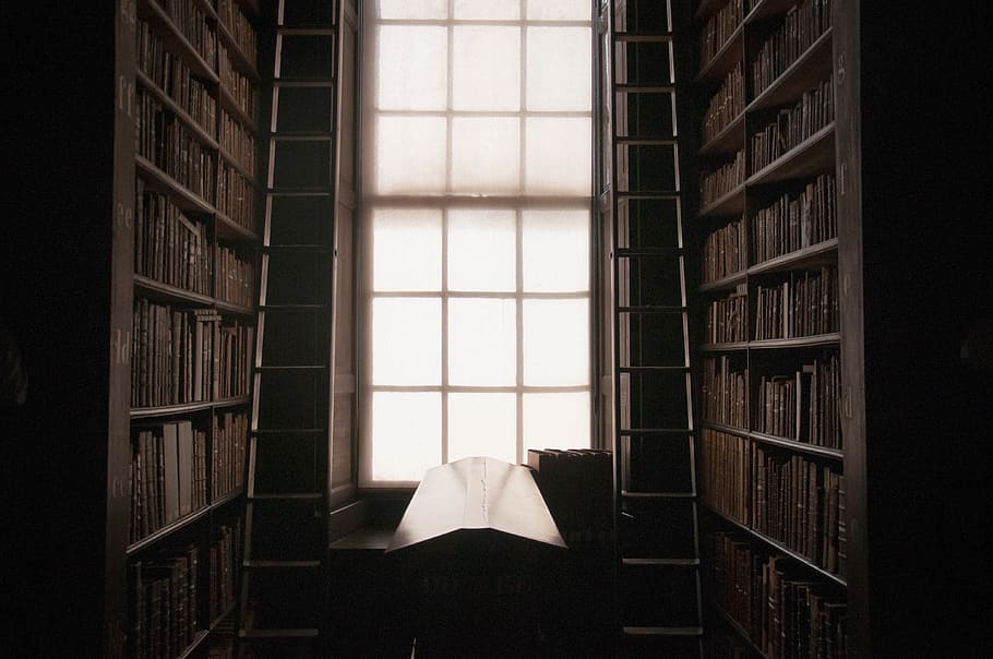 brown table between two ladders, indoors, no people, window, book HD wallpaper