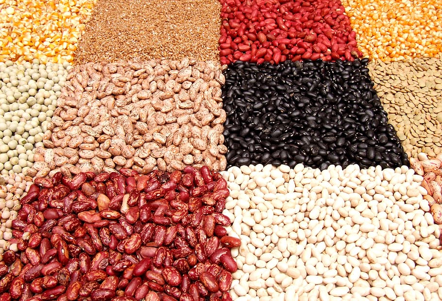 string bean, beans, assortment, agriculture, food, edible, legumes, HD wallpaper