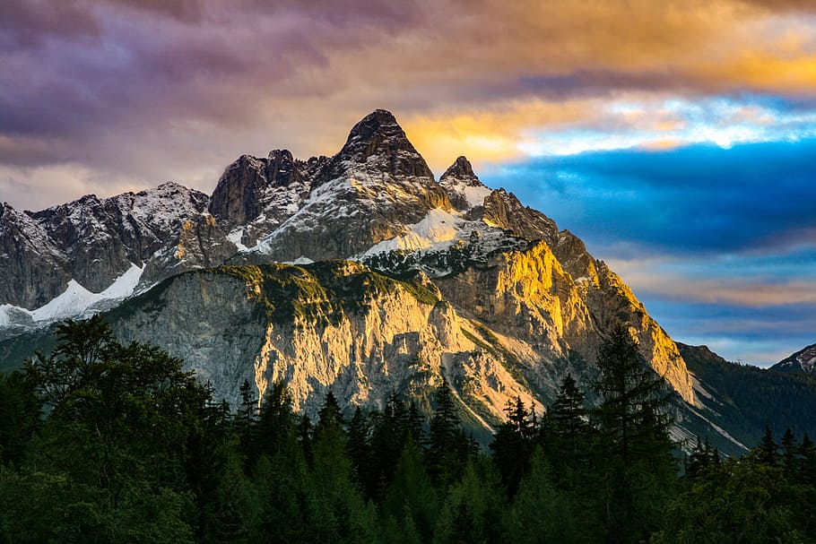 view of alp mountains surrounded with pine trees, peak, cloud HD wallpaper