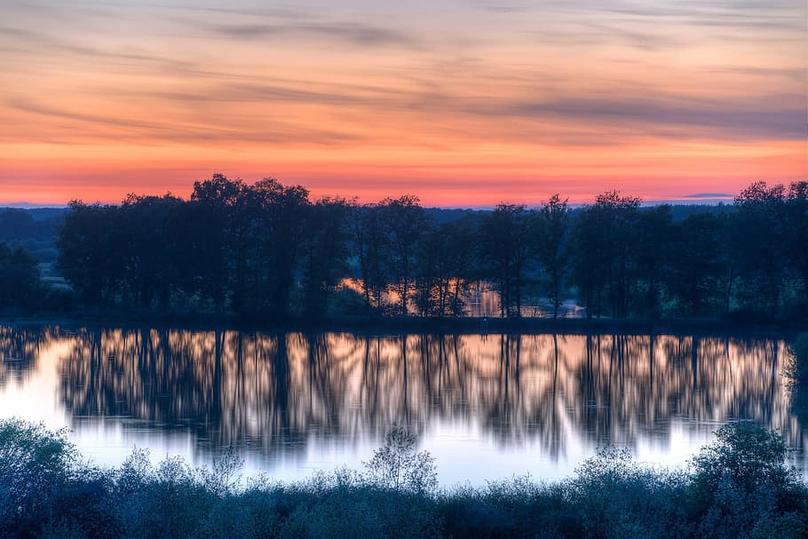 mirror, nature, wild, jungle, tree, lake, river, water, beauty in nature HD wallpaper