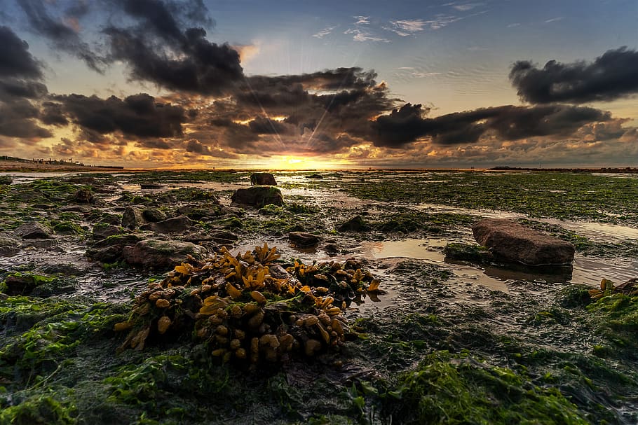 nature, landscape, sunset, sky, mood, mystical, idyllic, scenic HD wallpaper