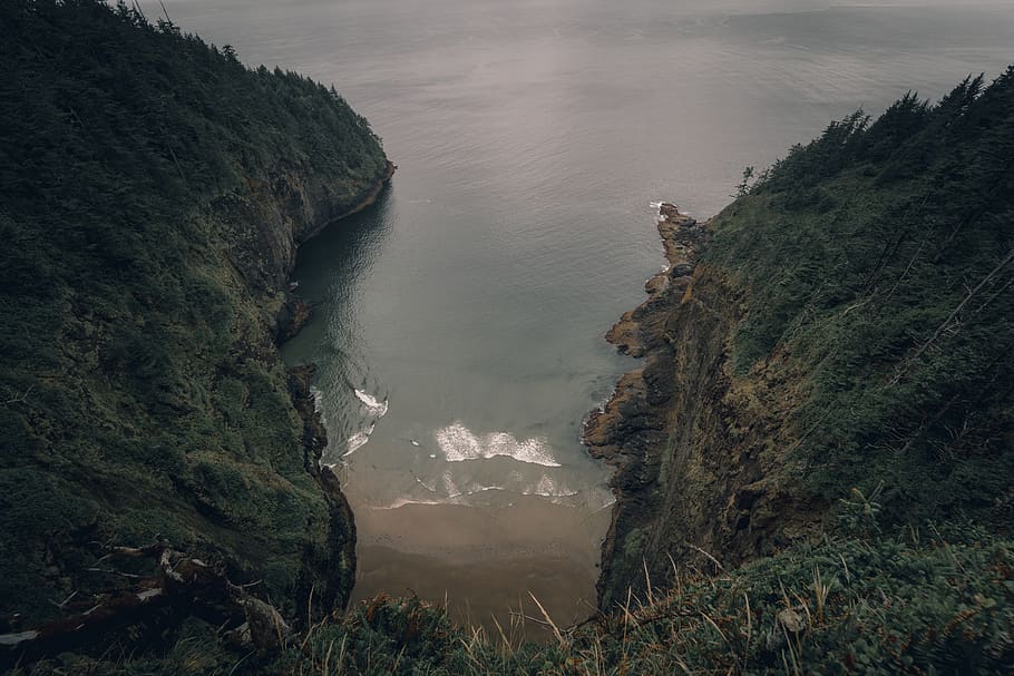 green-leafed trees, cliff, outdoors, coast, water, sea, ocean HD wallpaper