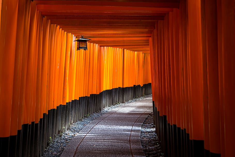pathway in tunnel, direction, the way forward, architecture, orange color HD wallpaper