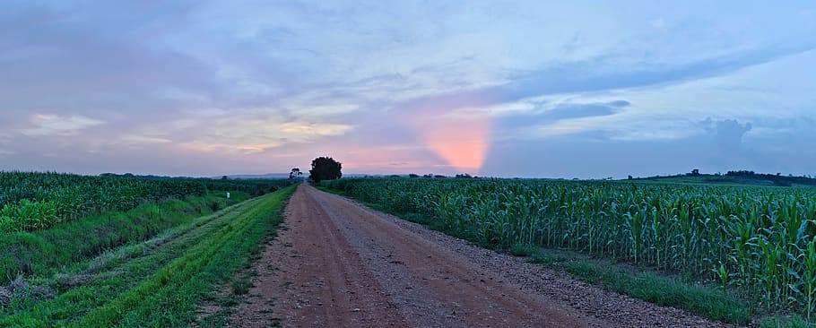 panoramic, landscape, sky, sunset, nature, road, dirt road HD wallpaper