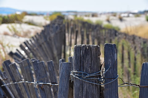barrier, sète, beach, nature, sea, fence, wood - material HD wallpaper
