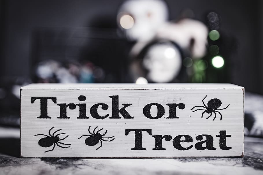 Halloween Decorations, moody, autumn, fall, spooky, boo, scary HD wallpaper
