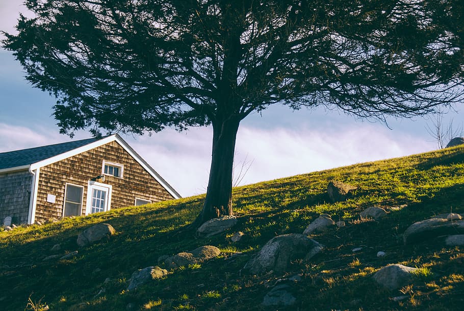 nature, landscape, trees, green, grass, clouds, sky, house HD wallpaper