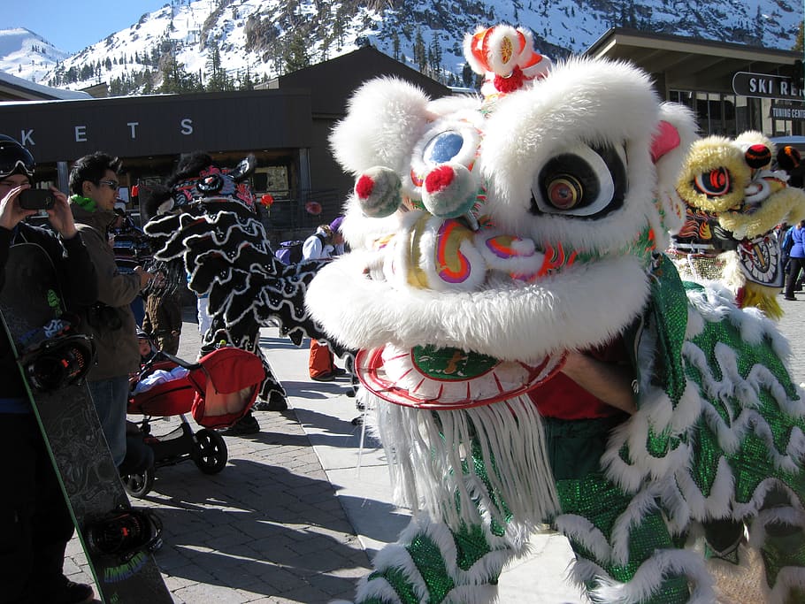 united states, tahoe city, chinese, dance, chinese dragon costume, HD wallpaper