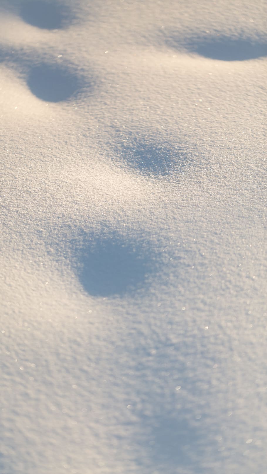 white sand, nature, footprint, outdoors, natural, alberta, macro photography HD wallpaper