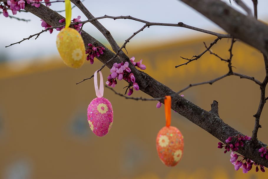 easter, eggs, happy, colorful, colored, spring, decoration HD wallpaper