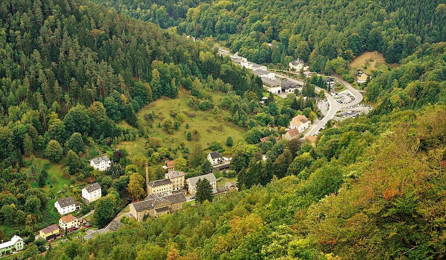 town surrounded by forest, tree, plant, high angle view, built structure HD wallpaper