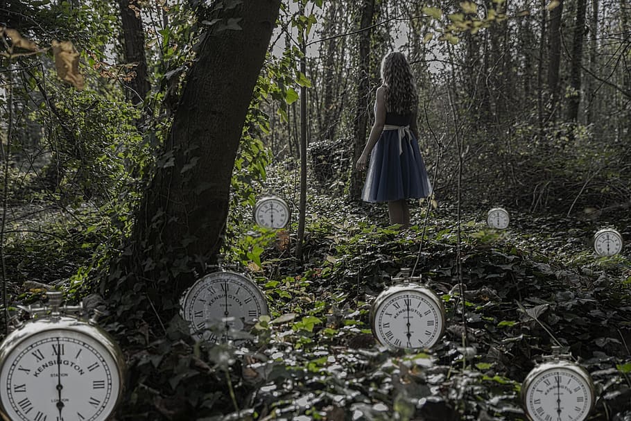 time, wood, tree, nature, outdoors, alice, clocks, old, mental health HD wallpaper