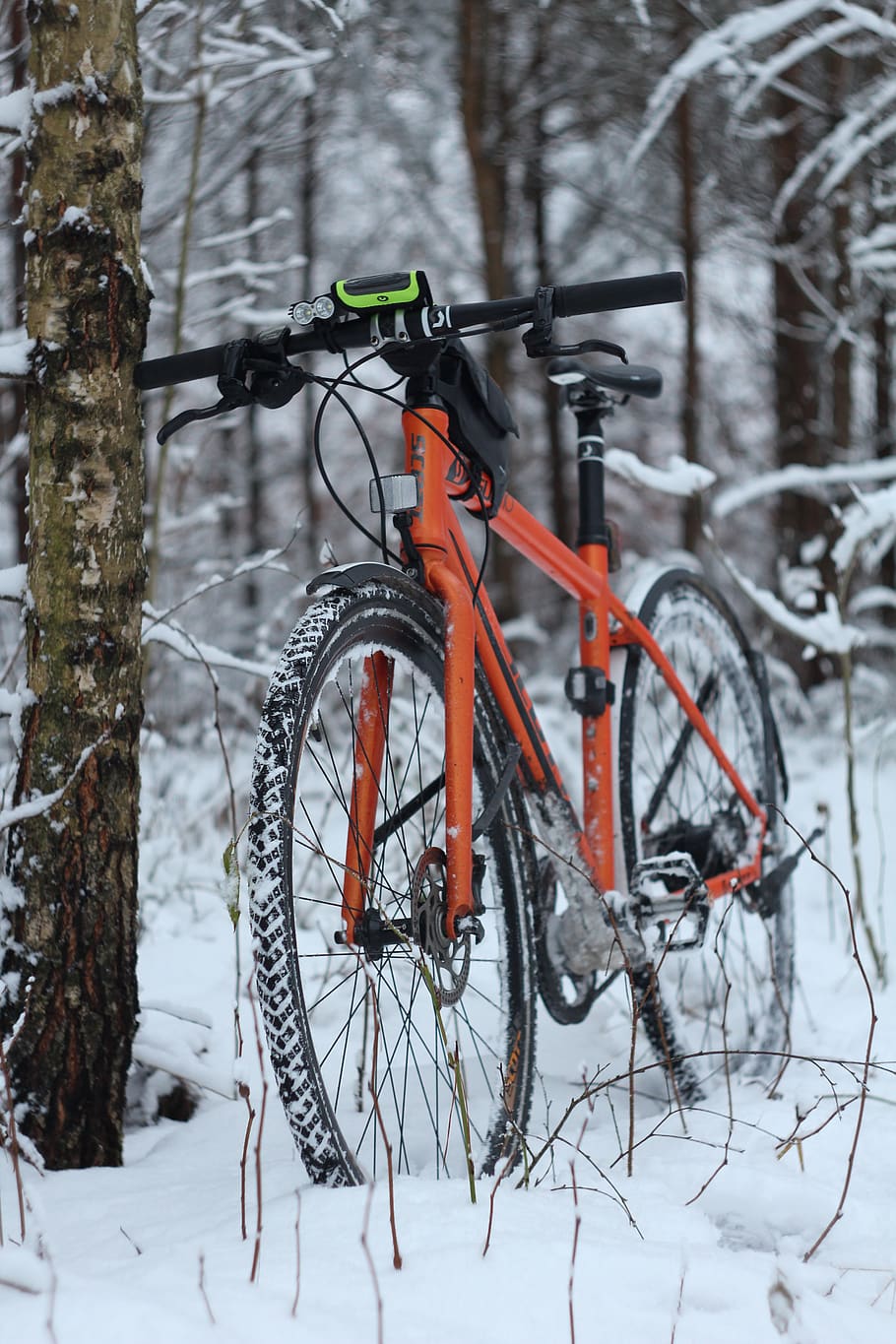 bike, winter, snow, tree, ice, forest, bicycle, frost, cold temperature HD wallpaper