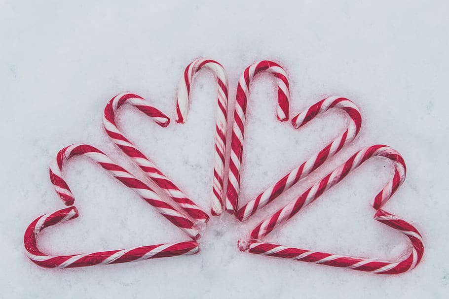 red-and-white candy cane lot, food, studio shot, food and drink HD wallpaper