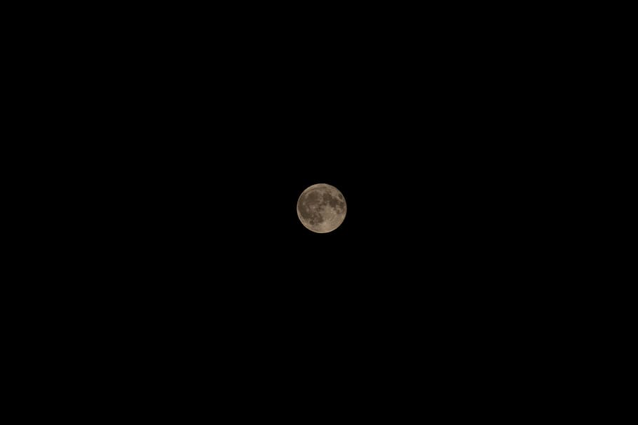 full moon under black sky, forest, lake, tree, photoshop, lightroom HD wallpaper