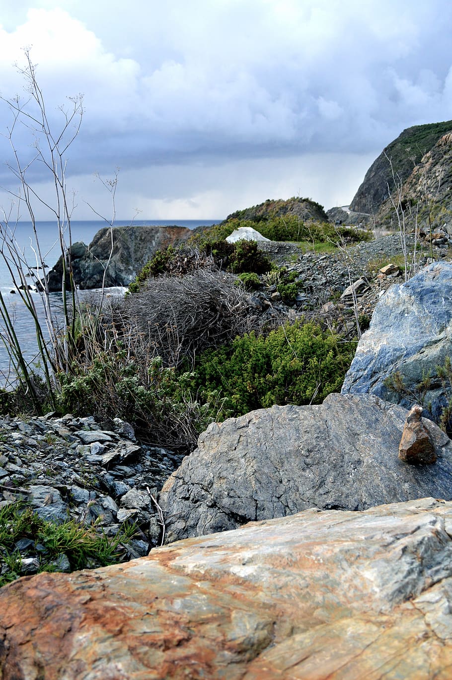 united states, big sur, wilderness, plants, sea, ocean, cliffs HD wallpaper