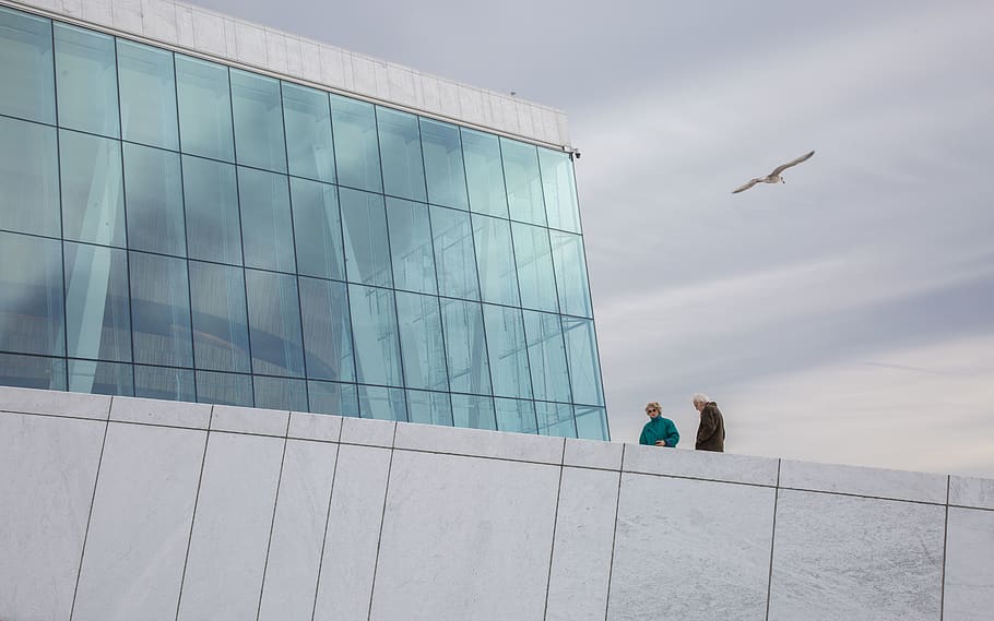 two people standing on rooftop, building, office building, bird HD wallpaper