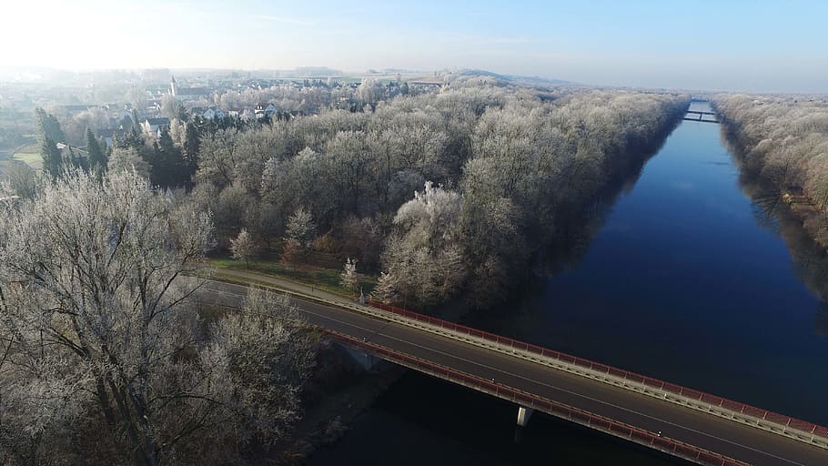 germany, offingen, tree, water, plant, transportation, nature HD wallpaper