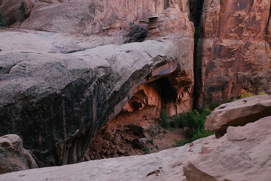 rock, trees, stone, solid, rock formation, rock - object, geology HD wallpaper
