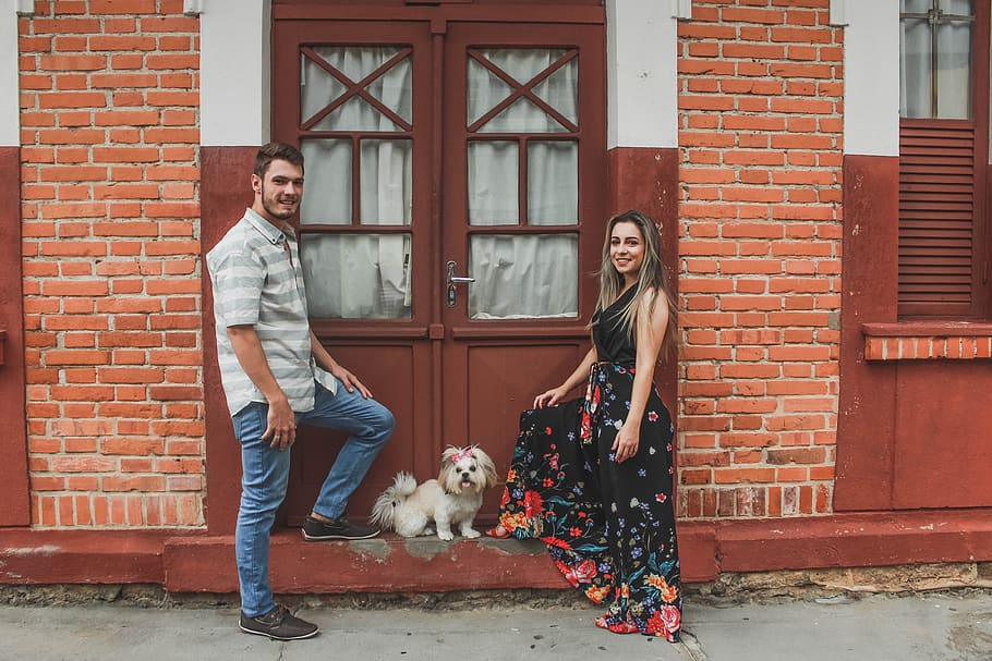 White Dog Between Smiling Man and Woman, bricks, canine, daylight HD wallpaper