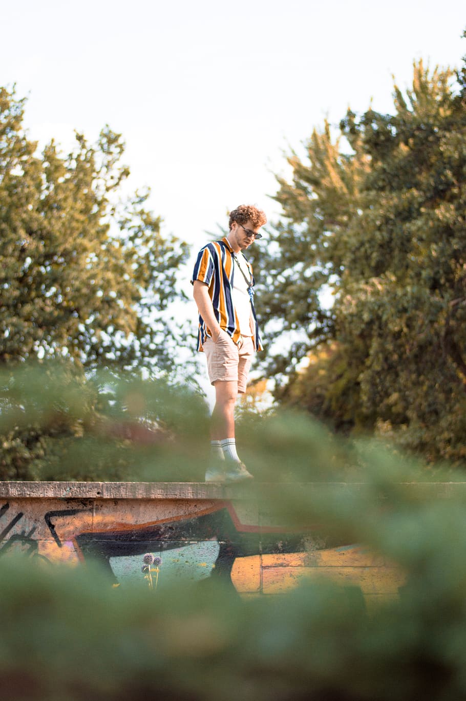 germany, leipzig, tones, portrait, nikon, style, outdoors, tree HD wallpaper