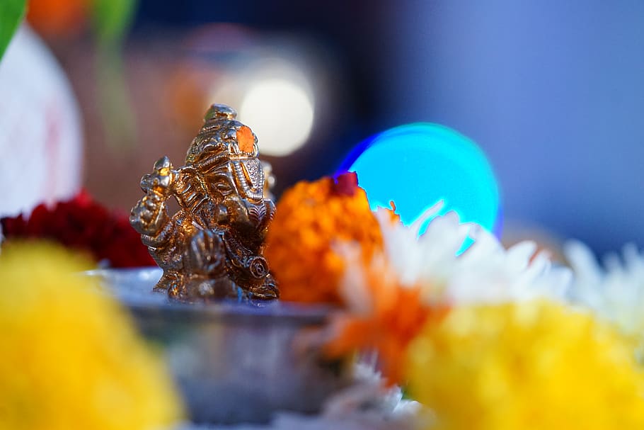 selective focus, close-up, no people, food, food and drink HD wallpaper