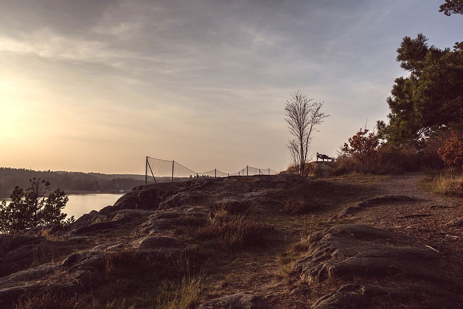 lake, runner, work out, forest, sky, water, plant, tree, nature HD wallpaper