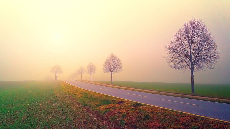 Photo of Road in the Middle of Foggy Field, calm, environment HD wallpaper
