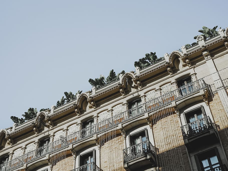 brown temple during daytime, low angle view, building exterior HD wallpaper