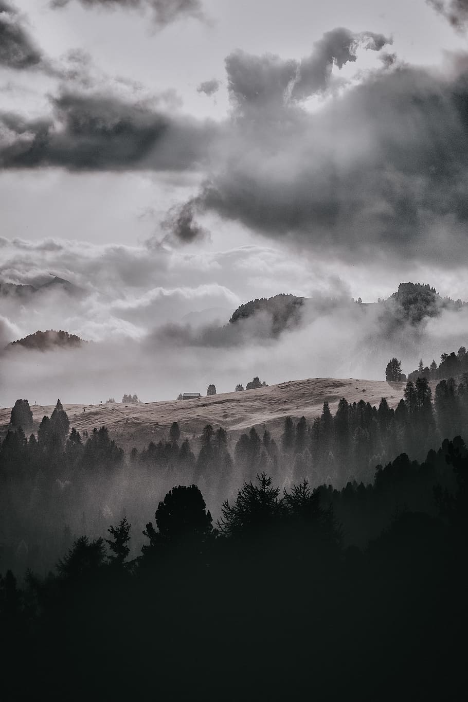 trees surround by fog under cloudy sky, foggy, mist, hillside, HD wallpaper
