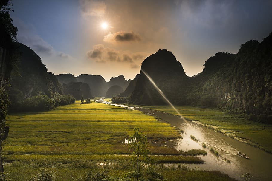 Green Rice Field, beautiful, clouds, dawn, fog, landscape, light HD wallpaper