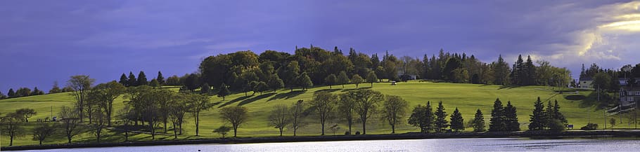 canada, lunenburg, golf, sunset, trees, plant, sky, landscape HD wallpaper